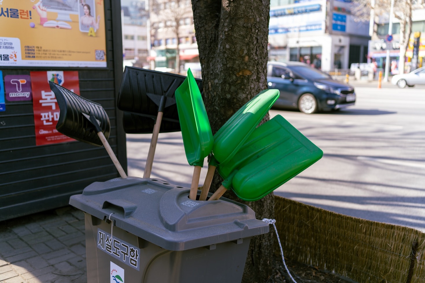 The Environmental Impact of Responsible Waste Disposal